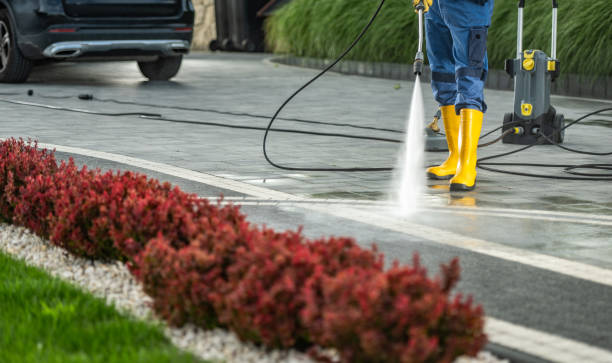 Best Roof Power Washing Services  in Litchfield, IL