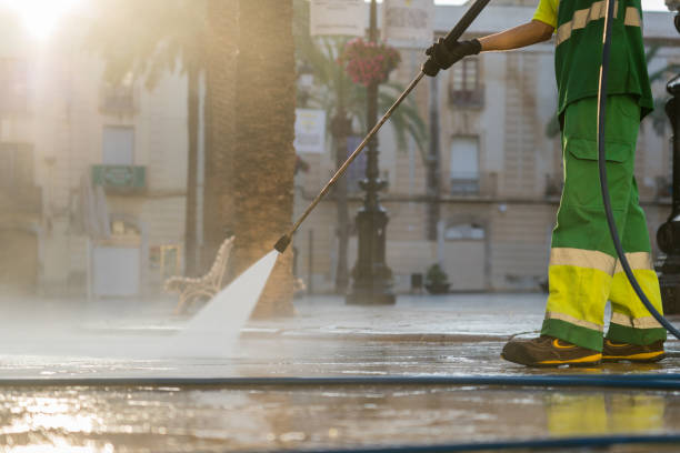 Best Roof Pressure Washing  in Litchfield, IL