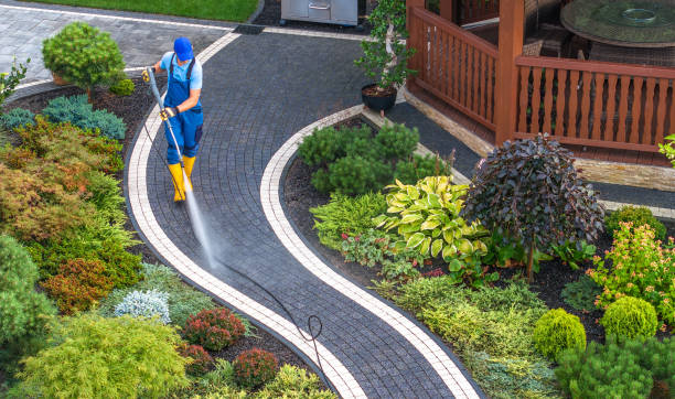 Best House Pressure Washing  in Litchfield, IL