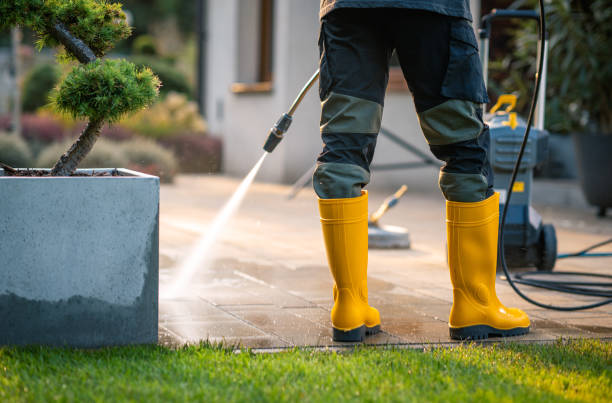 Local Pressure Washing Services in Litchfield, IL